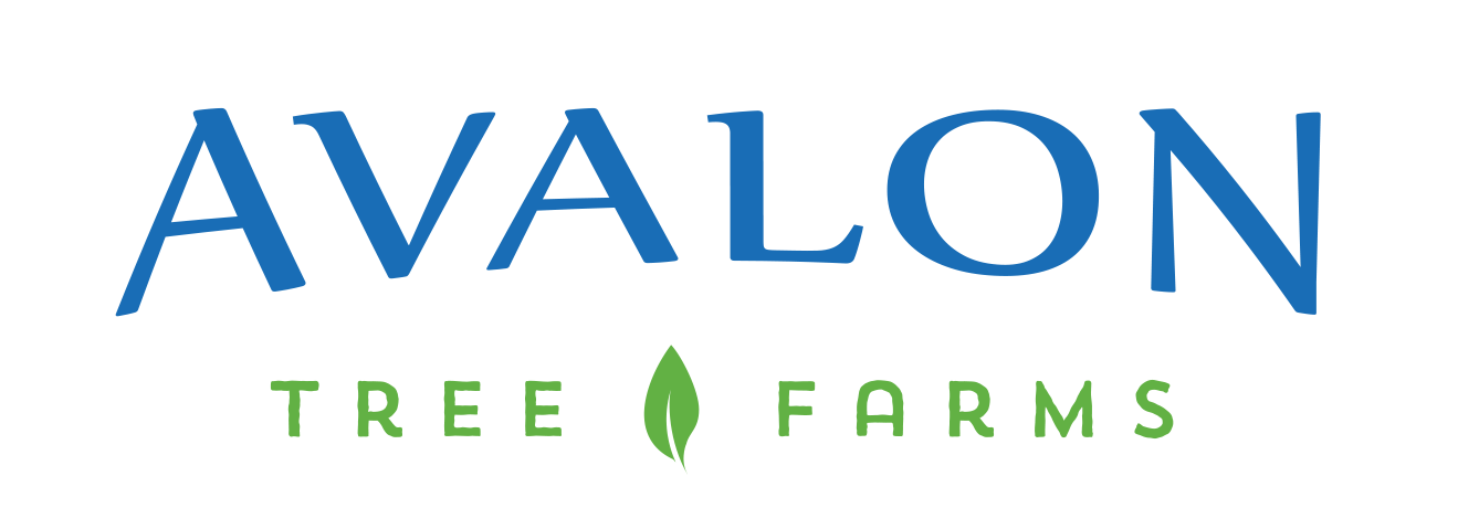 AVALON TREE FARM